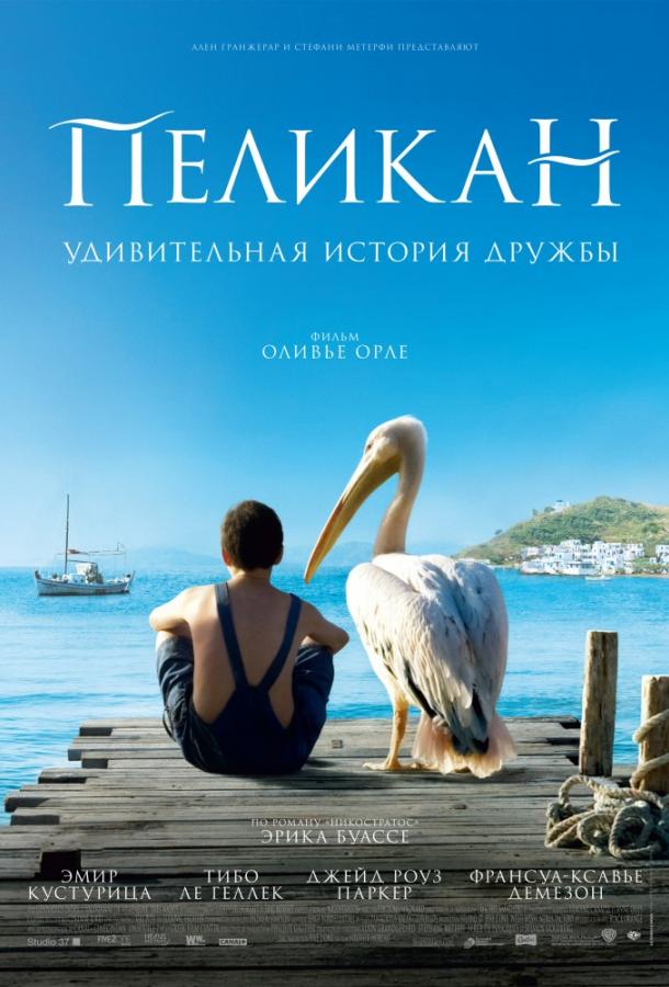 Фильм Пеликан (2011) смотреть онлайн бесплатно в хорошем качестве